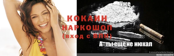 Альфа ПВП Няндома