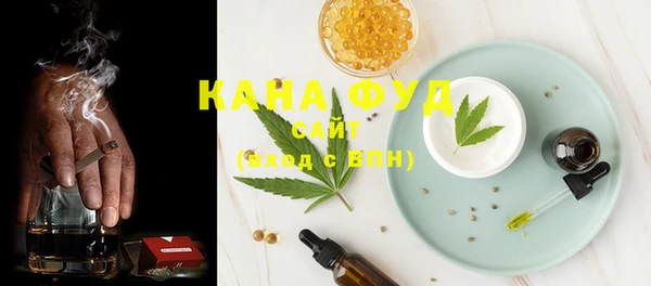 Альфа ПВП Няндома