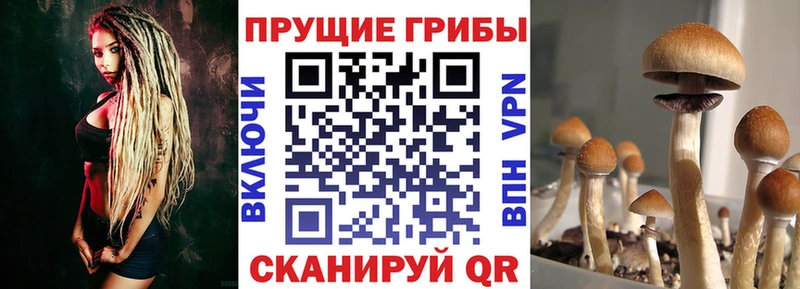 Галлюциногенные грибы ЛСД  купить наркоту  Красновишерск 